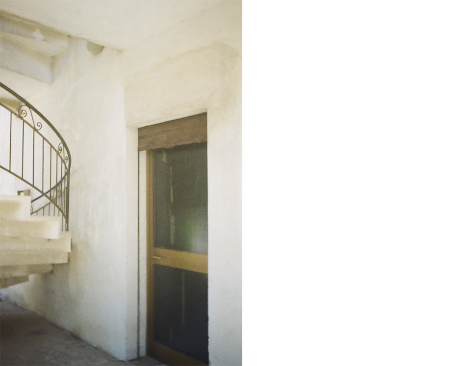 analogue ph asia flamini