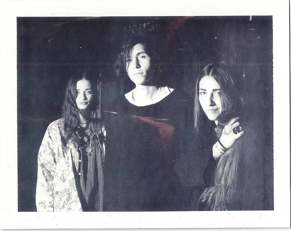 be forest erica terenzi