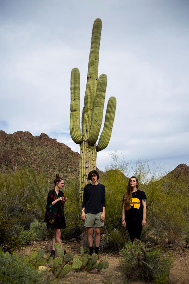 tucson underground be forest