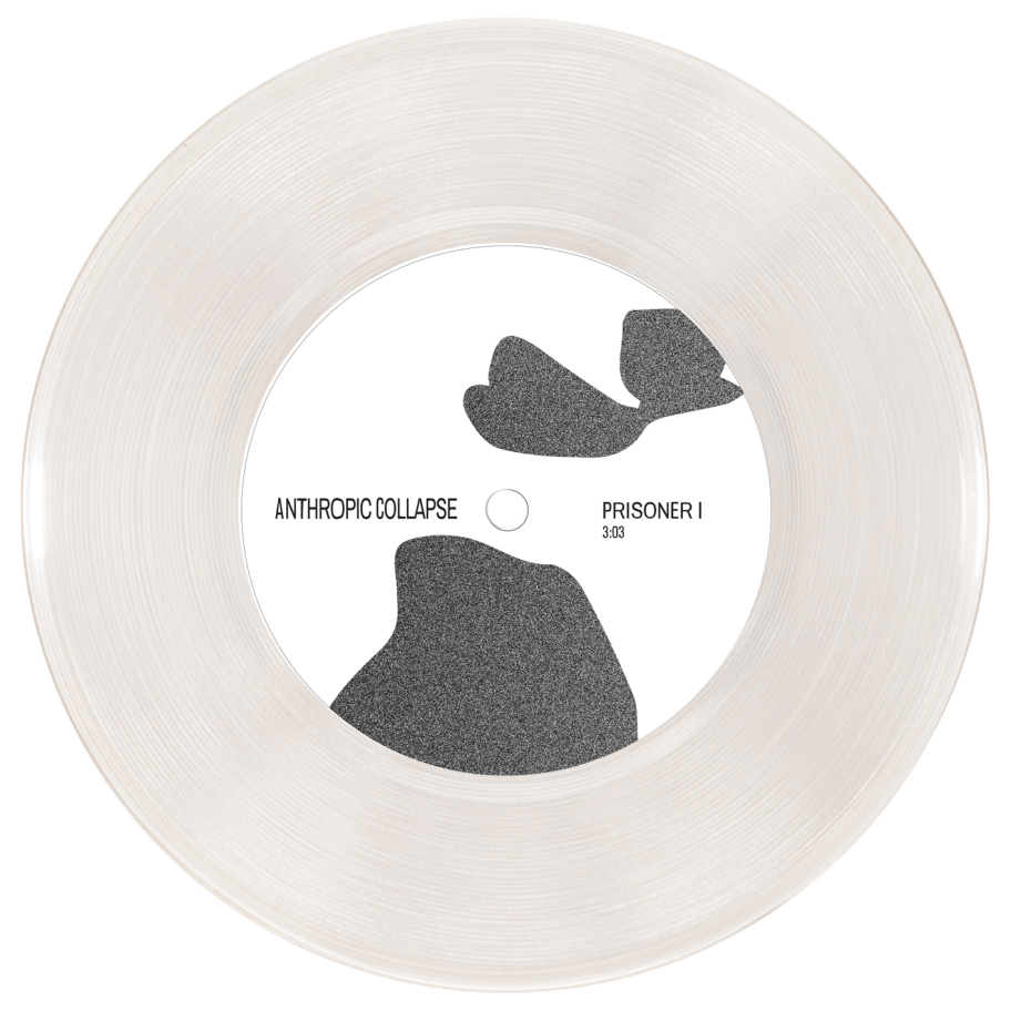 anthropic collapse prisoner I