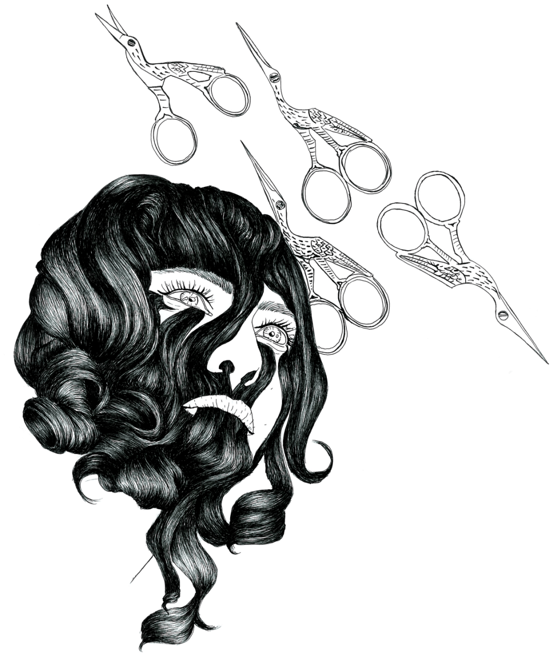 hair cut illustration