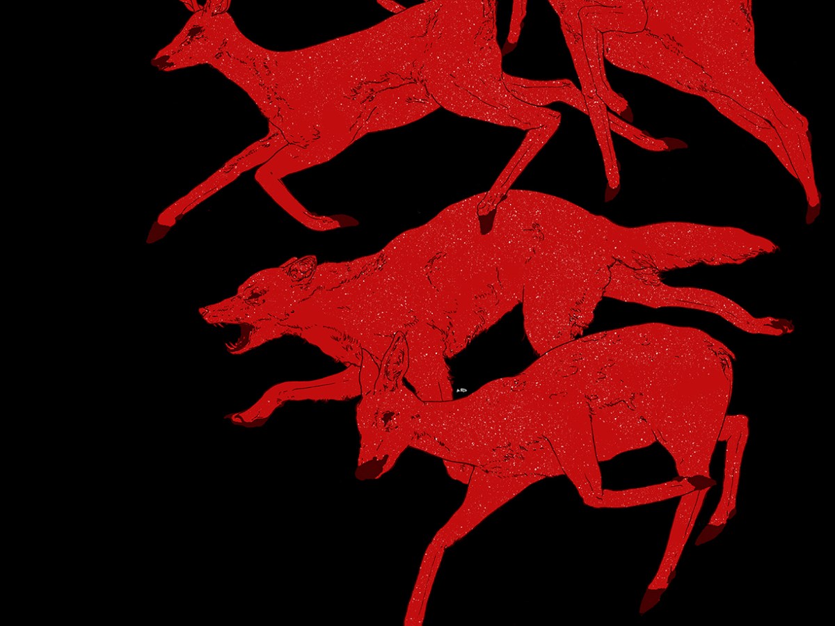 Illustrator Anna Dietzel //&nbsp;Interview